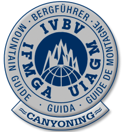 Logo IVBV 